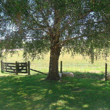 Woolshed Bed & Breakfast Takaka Exterior photo