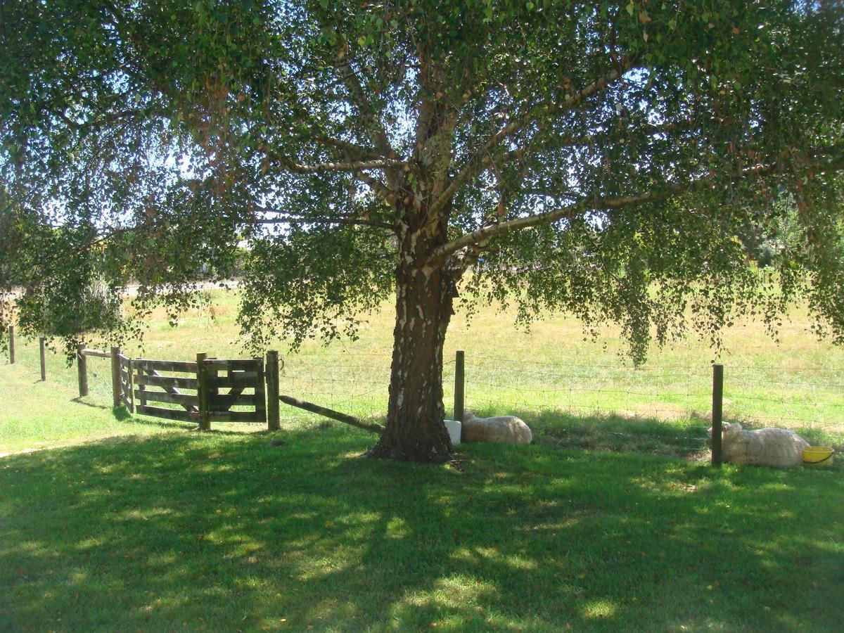 Woolshed Bed & Breakfast Takaka Exterior photo
